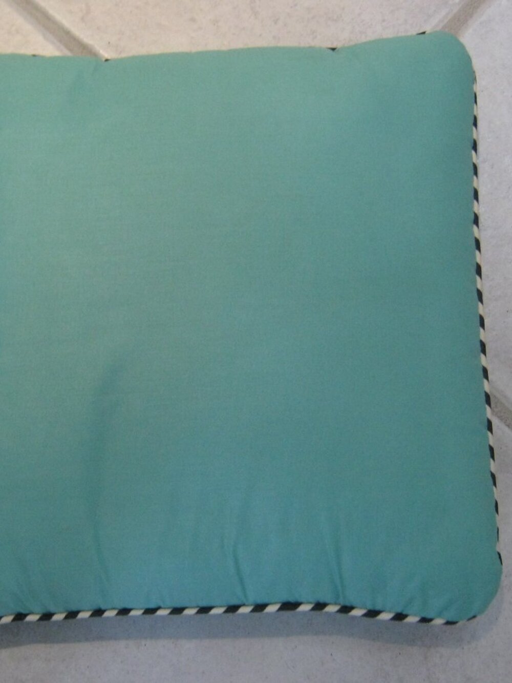 Decorative 18" Throw Pillow by Dakota-Turquoise Blue with Black/white Cording